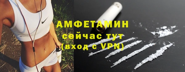молекула духа Михайлов