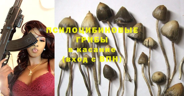 молекула духа Михайлов